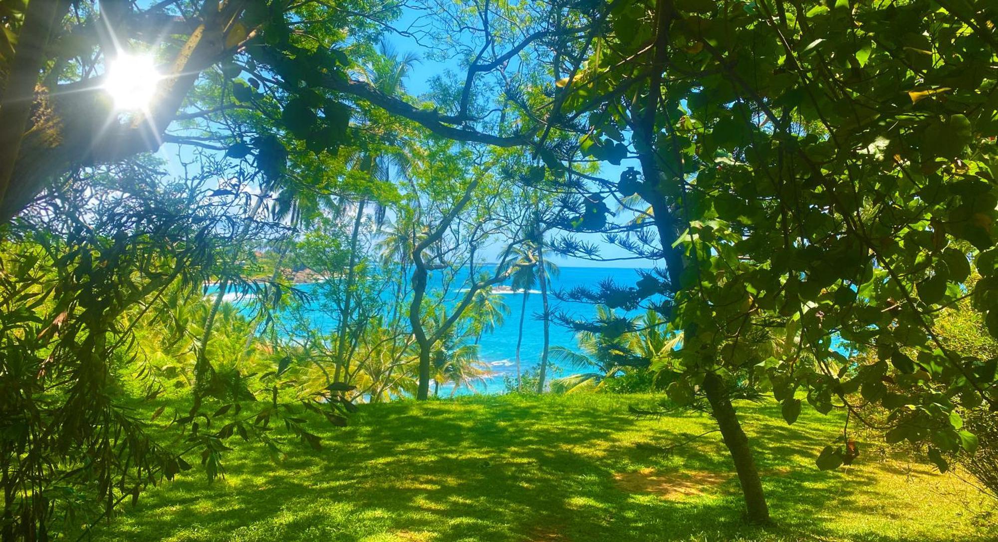 Bluewind Resort Tangalle Exterior foto