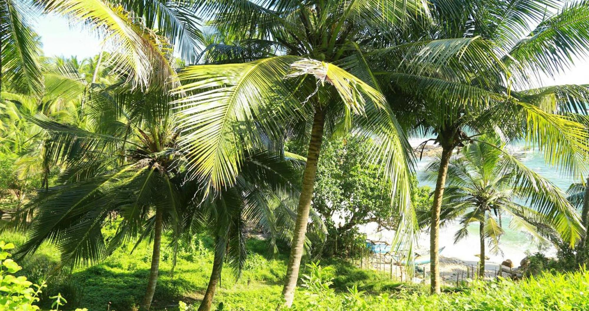 Bluewind Resort Tangalle Exterior foto